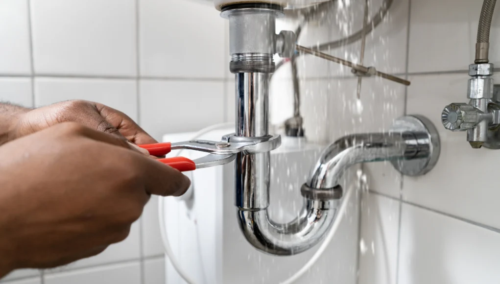 Leak Detection To Drain Repair