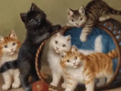 Cat Colors Explained: A Complete Guide to Coat Shades, Patterns, and Genetics Cat Colors