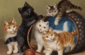 Cat Colors Explained: A Complete Guide to Coat Shades, Patterns, and Genetics Cat Colors